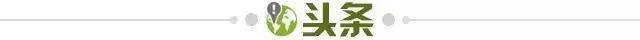 【早报】我要的全拿走！法国队拿遍全年龄段大赛冠军